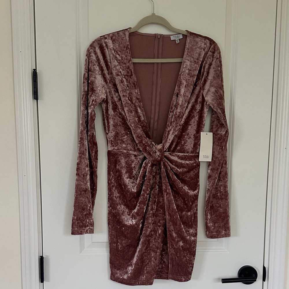 Tobi Long Sleeve Velvet Dress in Blush
